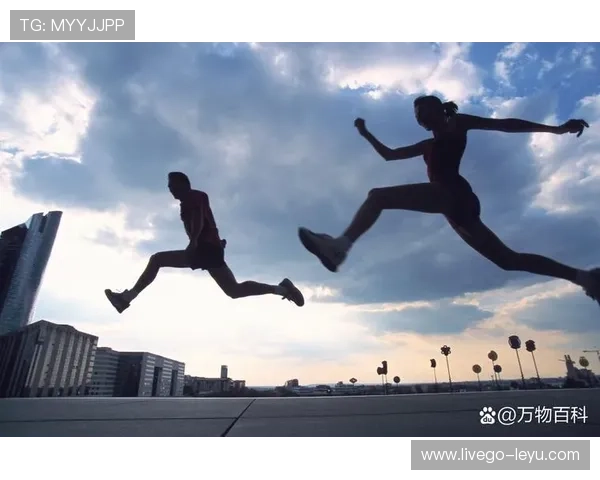 数字化转型如何借鉴体育产业智慧？从焦虑到突破，看马赛俱乐部的粉丝经济启示