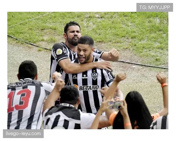 明星球员揭秘奋斗历程,荣耀背后的真实故事引发关注 明星球员揭秘奋斗历程,荣耀背后的真实故事引发关注