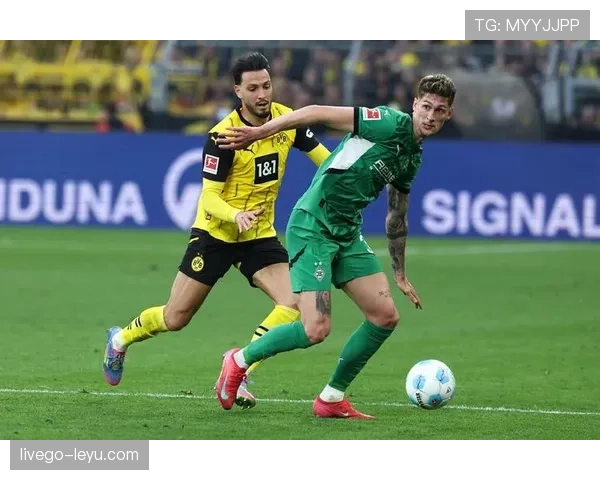 门兴格拉德巴赫成功保级，球迷重燃希望迎战新赛季