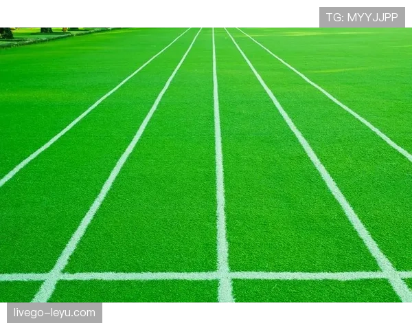 南安普顿发布未来规划，引领绿色足球与可持续发展新潮流