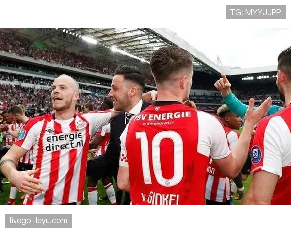 斯洛伐克球迷支持球队近期表现稳健